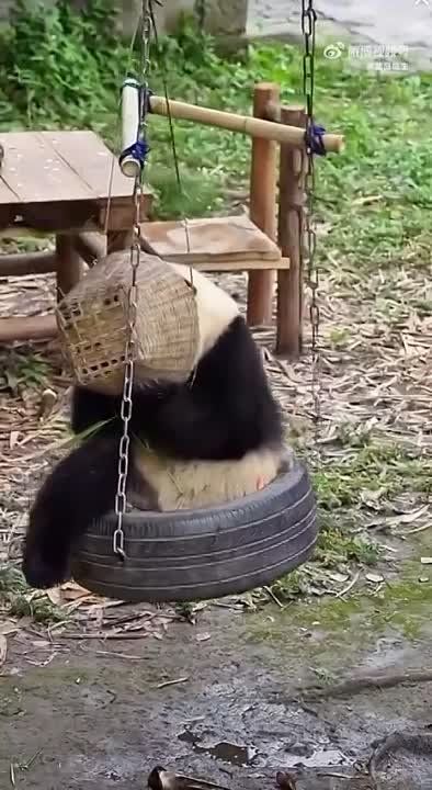 ������ ����!