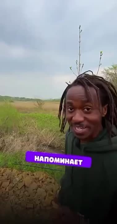 �������� ������� ������