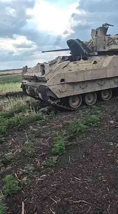 ��� ���� �������� ������������ ��� M2A2 Bradley ODS-SA ��������� � ���� ����� ����� � � ������� �������� ��������� �������