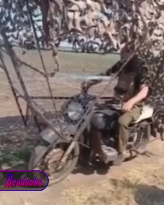 ������� �������� + ������ ���� = ����������: ����� ��������� ������ �������� �� ���������� � ����� ������