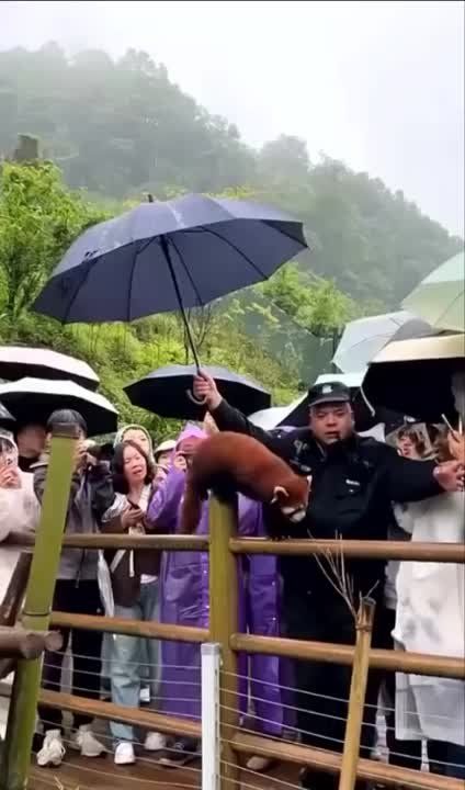 ������� ����� � �� ������ ��������