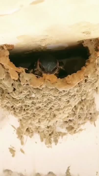 �������� ������ ���� ������ �� ��������� �������� ������, ��������� �� ������