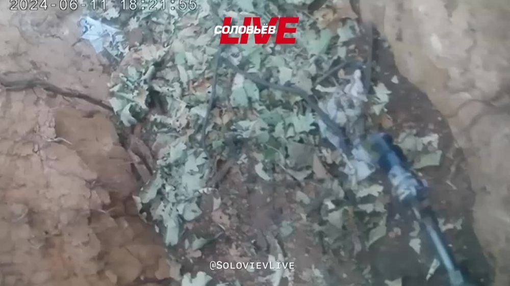 3-� ��������� ����������� ������� �������������� �������� �������� ��������� �� �������� ������� ��� � � ���� ������ ����� ���