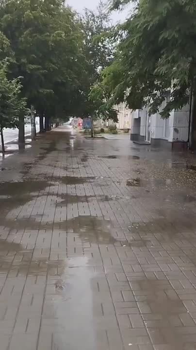 ������ �������: � ��� � 41-� �����? ���, ��� ��� �����? ����������, ���������� ���������? ��� � ������������ ����