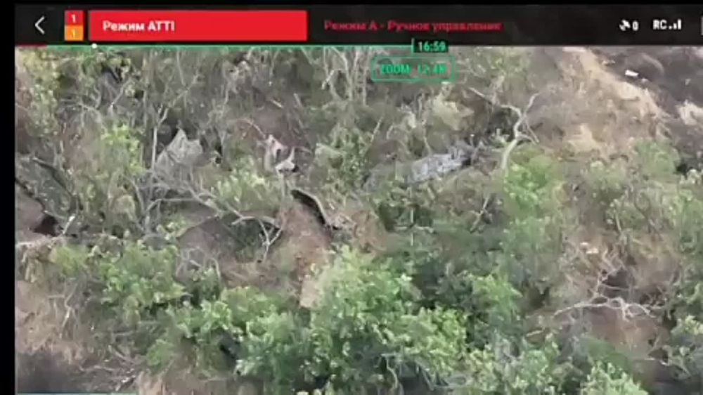 ������� �������: ���������� ������ �������, ������ �������� ���������� ��������������� �������