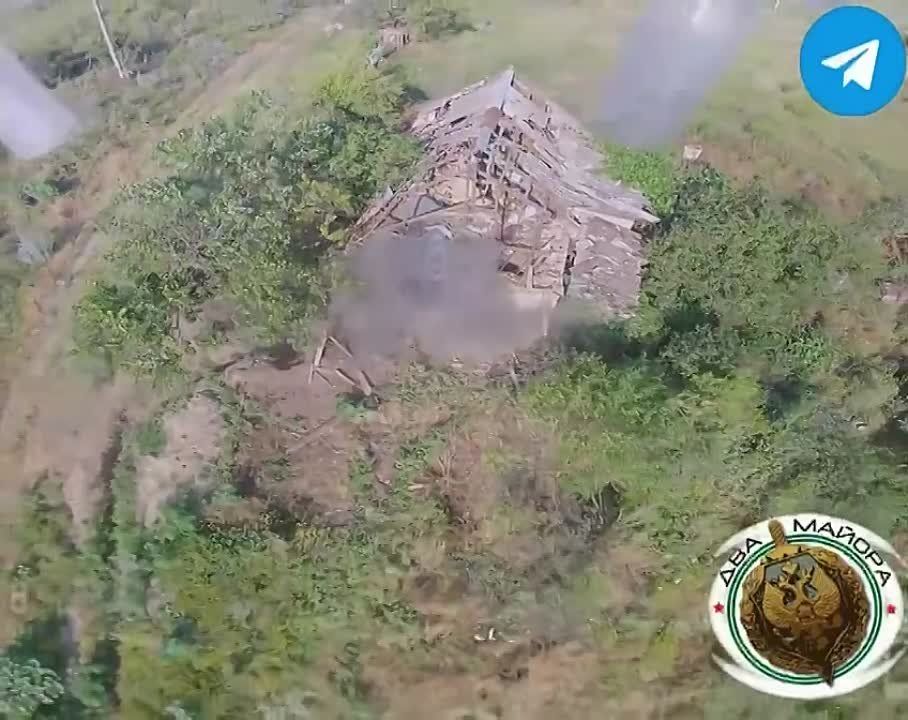 ��� ������: ����������� �����. ��������� ������ ����� ������, ��������� ����������� ������ ������ �� ����������� ����� ���� ���������� � ��������� �������� ���������� �����