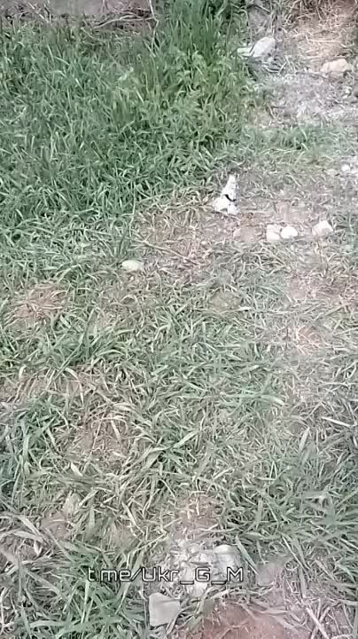 �� �� ����������� �������� �� ��������� ����� ���� �������� ��� � ������ ���-����, �� ����� �� ������ �������