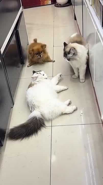 ������ ����!