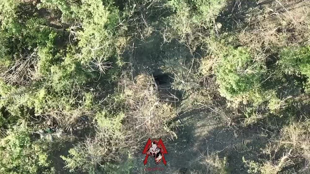 ��� ������� ���������� �����