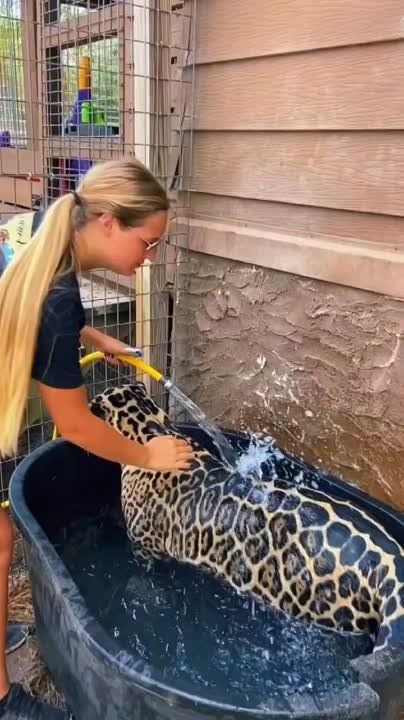 ������ ������� �������� � ������ ��� ��� �����, � �� ��� ������