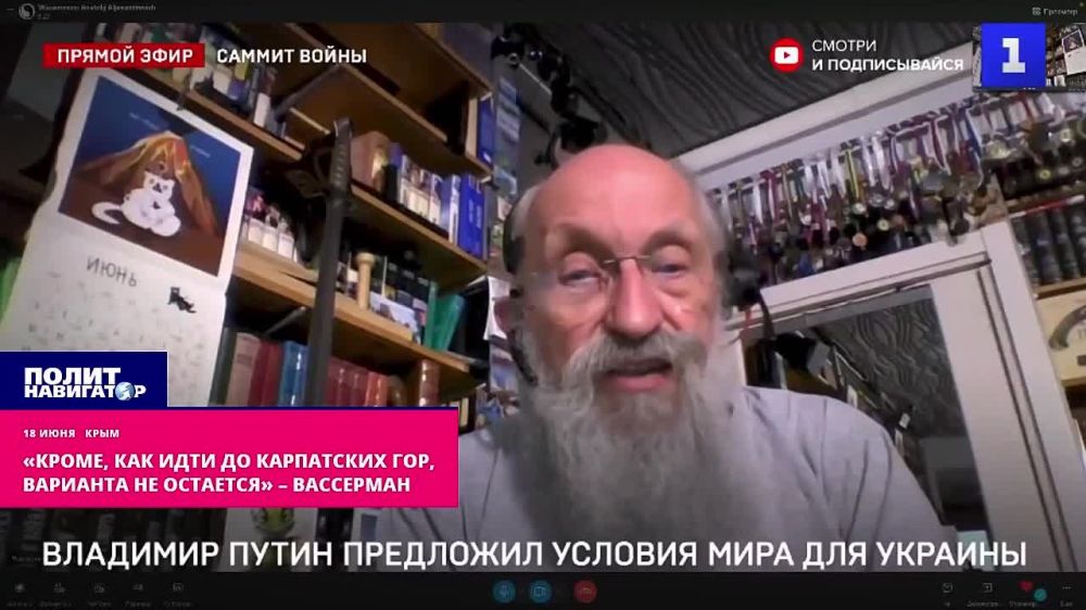 Вассерман: Бесполезно предлагать киевскому режиму условия мира – придётся идти до Карпат