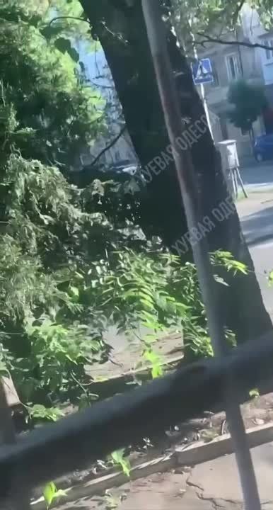 ������: ����� �������. �� ����� ���������� ������ ������� ��������� �������� �� ����, ��� ������ ���� ������ �� ��������������