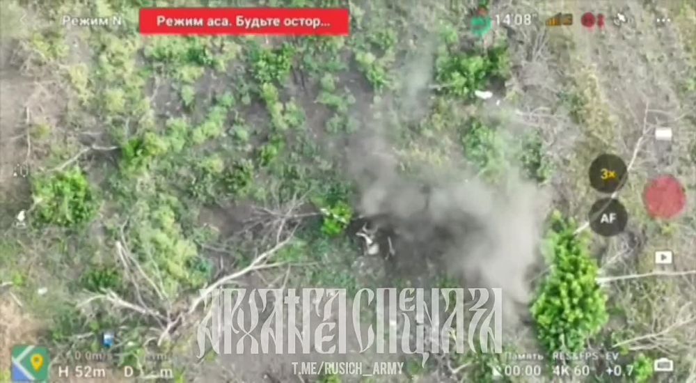 ����������� �����������: