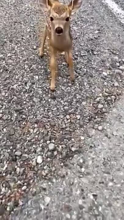 ������. �������������� ��