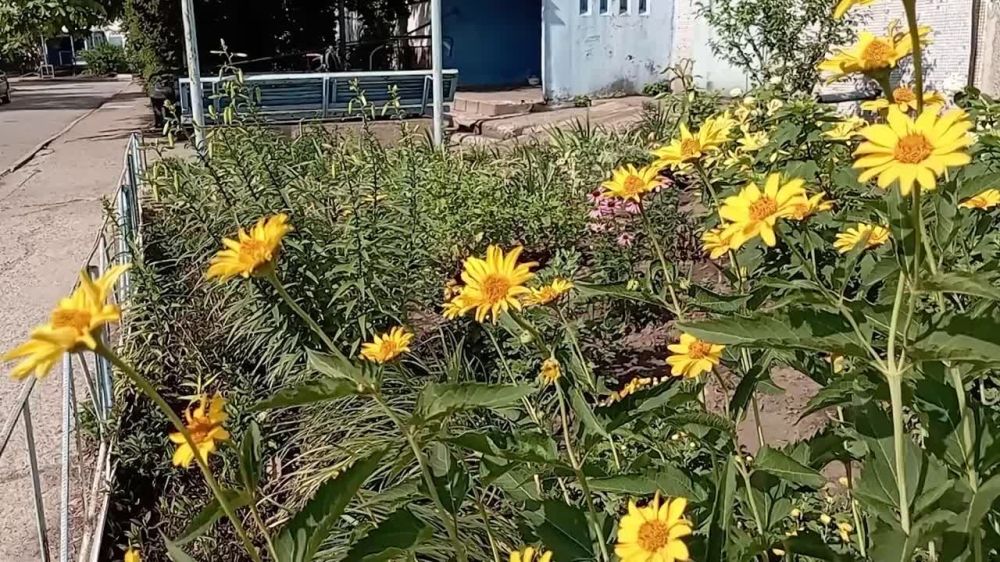 ���������� ����������, ��� ������ ���������� ������ ������ �������������� �����