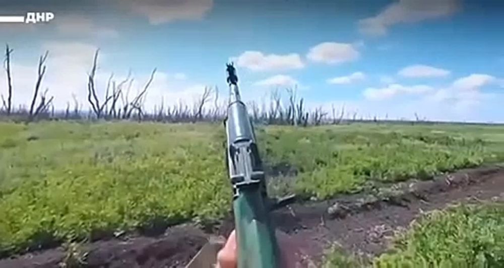 �������� �����: �������� �������� �������� �����