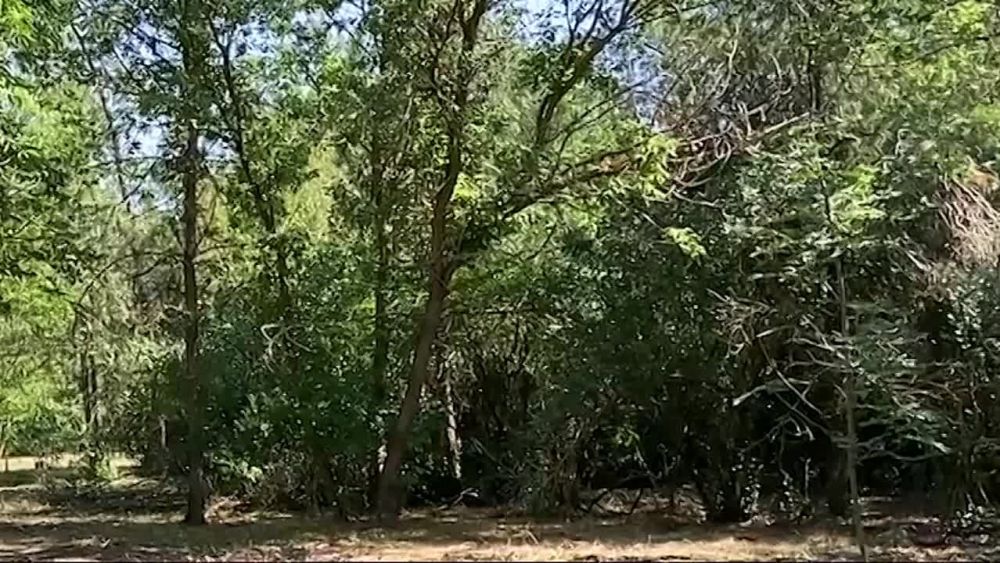 ������� ��������: � ����������� ������� �������� ��������������� ����� ������ � ������� �������� ��������������� �������������� ������