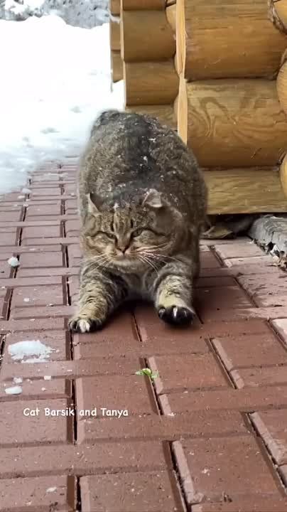 ������ ����!. � ����������� ������� ������� ����������