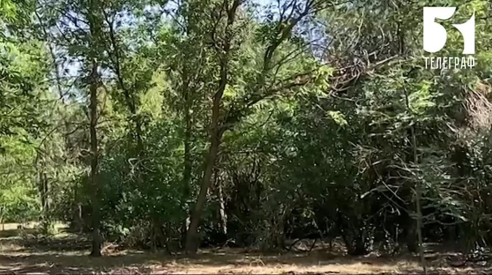 � ����������� ������� �������� ��������������� ����� ������ � ������� �������� ��������������� ��