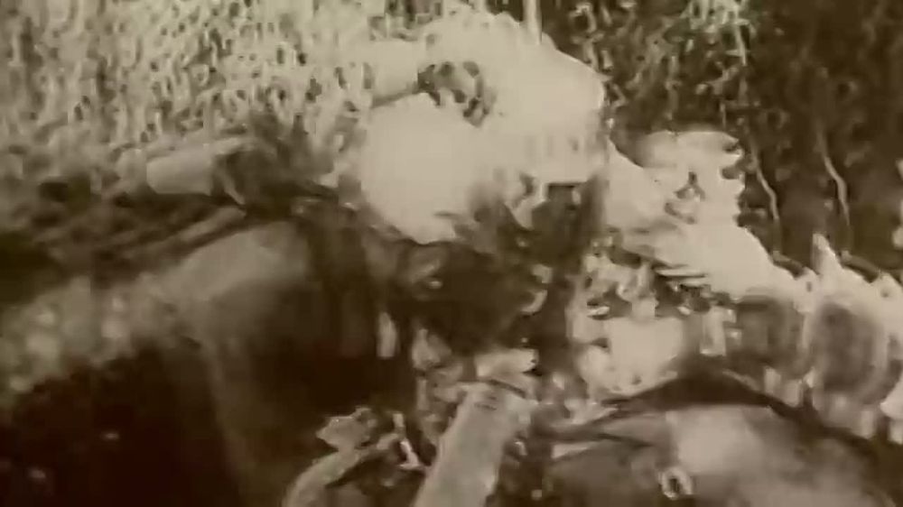 ������ �������: 22 ���� 1941 ���� �������� ����� �� ����� ��������� ��� � �������