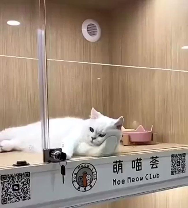 ����� �� ��� ����� ��� ��� �����