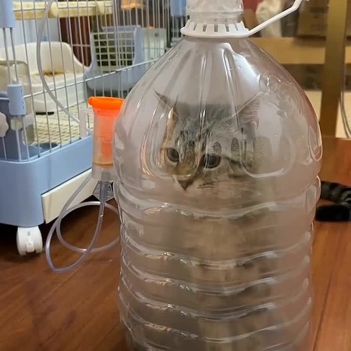 �������� ��� ��� �������� ��������� � �������