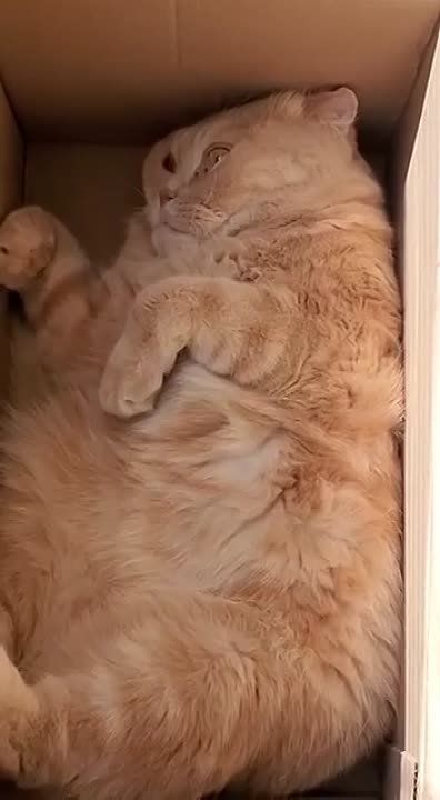 ����� �����, ��� ������ �� ������