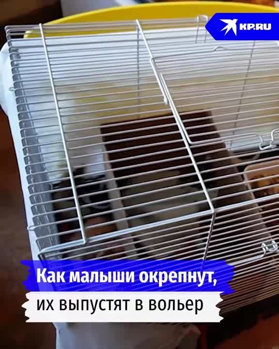 ������� �� ������������ ������� ����������� �������