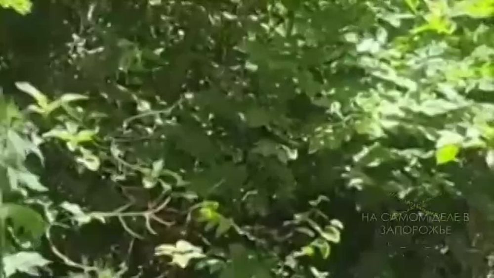 ���� ������ ����� � ����������� ������� �������� 500 �� ������ �� ��������������� ��������