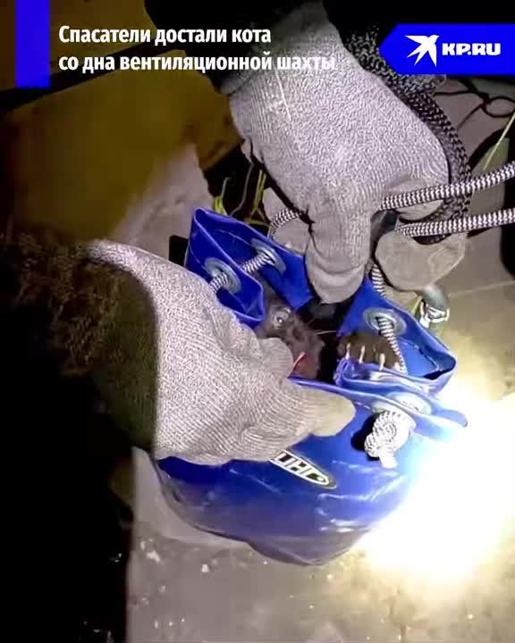 ��������� ������� ���� �� ��� �������������� ����� � ������������� �������