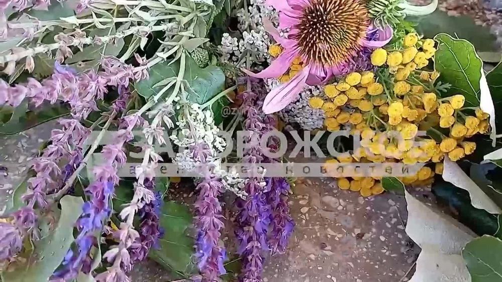 �� ����������� ����� ���������� � �������� ����� ����������� ��������� ������ ������� �����