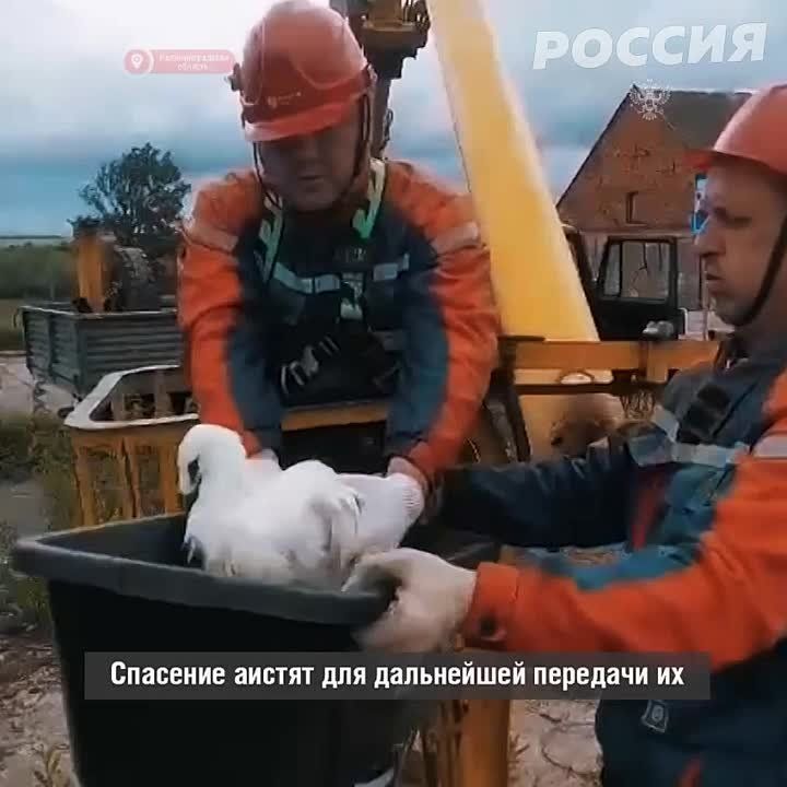 � ��������������� ������� ������ ���� ������, ������� �������� ��� ��������� � ��������� ���� ��������� � ������ ���� ��� ��� � ����