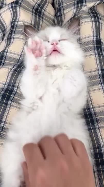 ������ ����, ������!. ����� �����������! �������������� ��