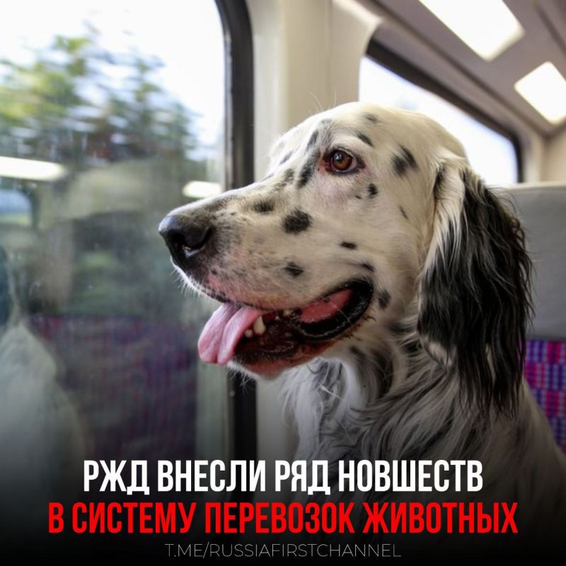 ���������� �������� ������ ����� ������ ���� ������ ������ ��������� � ������� ��������� ��������: