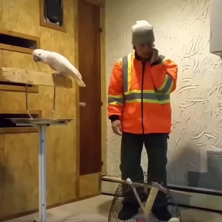 ������� ������, ��� ������ ������ ������ � ����� ���������� ��� �������