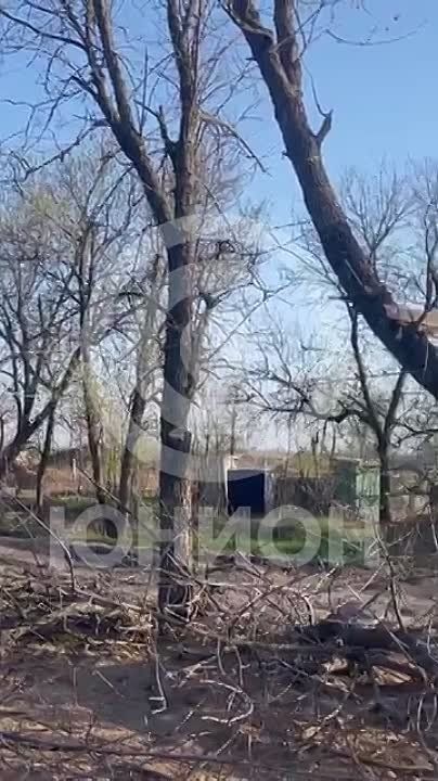 ��� �������� �������� ������� ���� �� ����������� ������ ��� ������