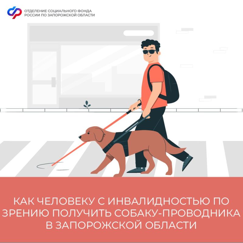 ��� �������� � ������������� �� ������ �������� ������-���������� � ����������� �������