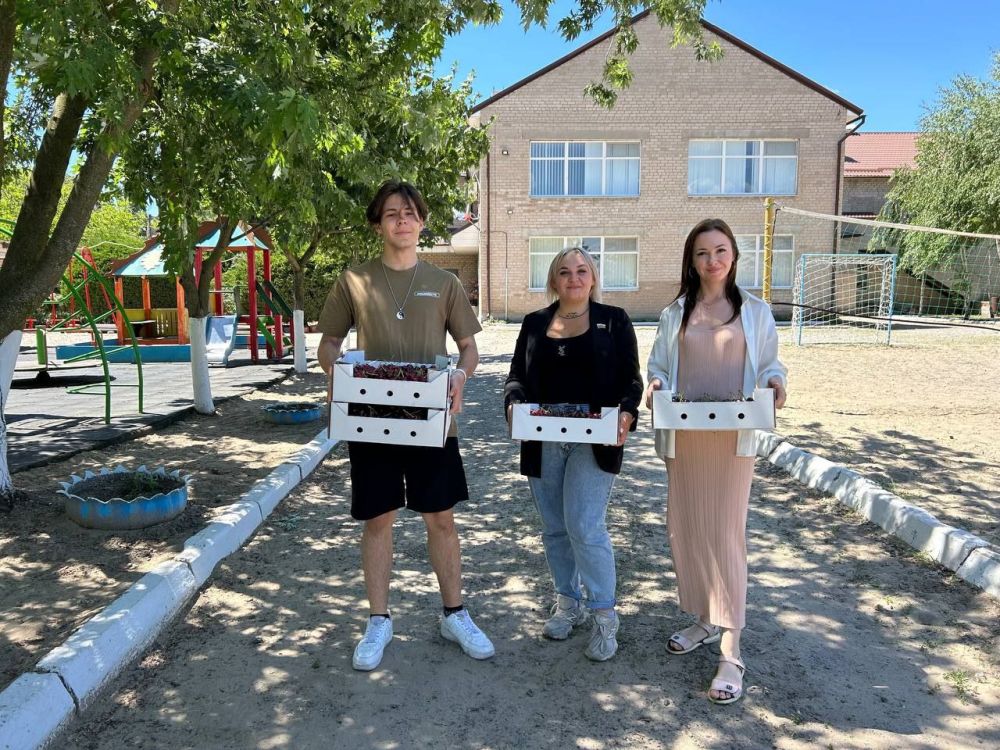 ���� ������: �������� � ������� ������ ������ ��������������� ������