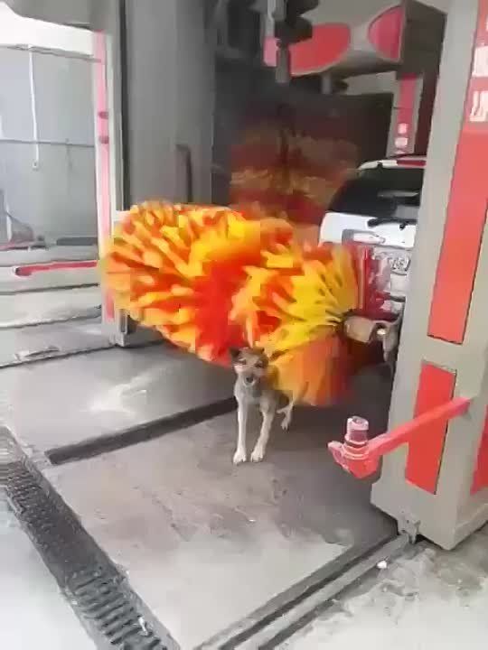 ������ ����!