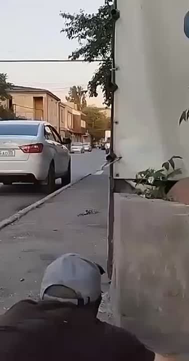 �������� �����: ����� �� ������� ���� � ����������� ����������� � ���������