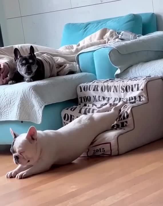 ��������� � �������� ������� ������