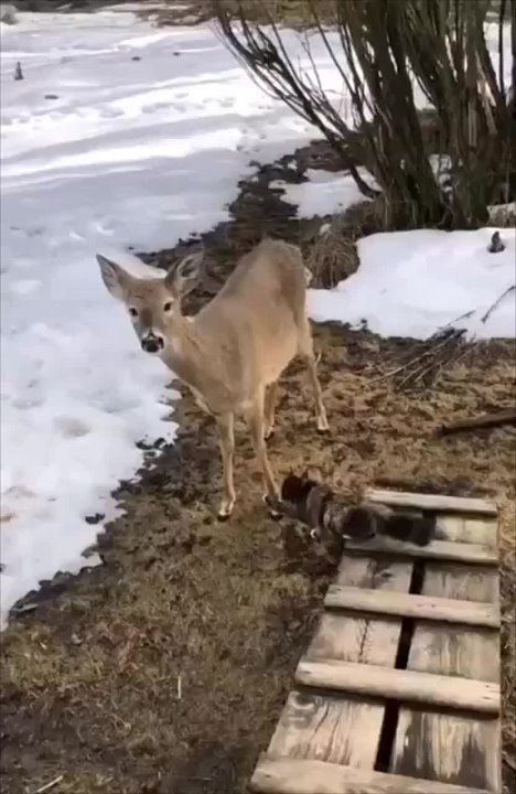 ��������� �����, ��� �� �����! ��������� �����! ������� �����, �����, ����� ������� ��� ����?