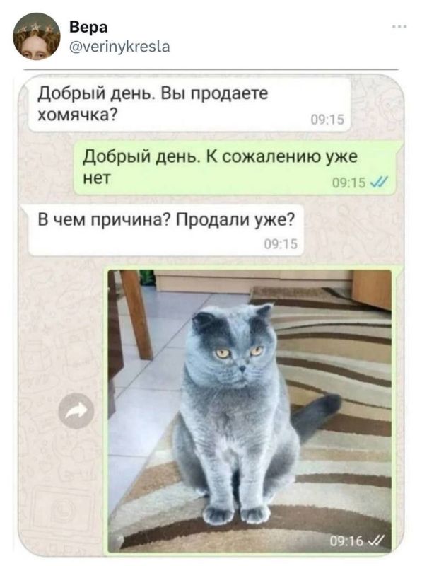 ����� �������� ������� �� �������