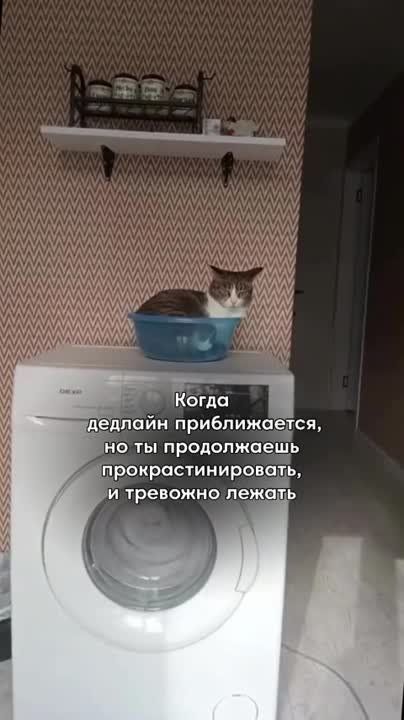 ��������� ���������: ������� ����