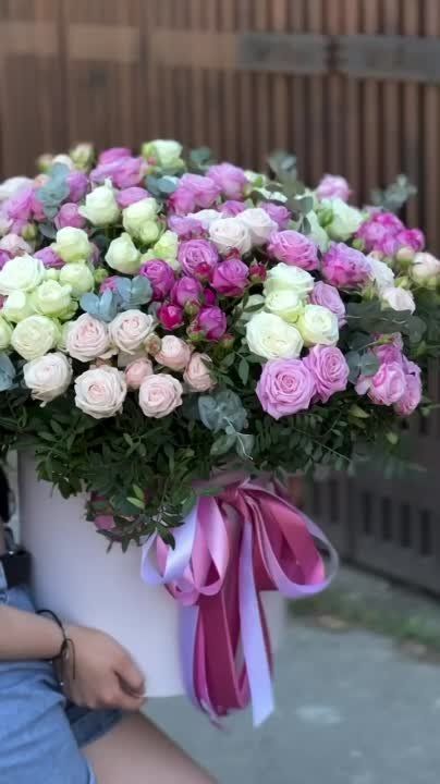 AZOV FLORA . ��� ��� ������ ���������� maxi �� �������� ��� � ������ � ��� ����� ��������