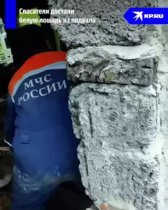 � �������� ��������� ������ ���� ��������� ������, ������������� � ������