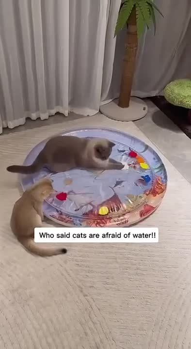 �� ������������� ����� ������ ������ ���
