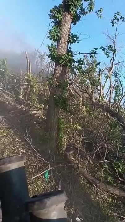�������� � ���� �������� ��� � ����� ��� -2