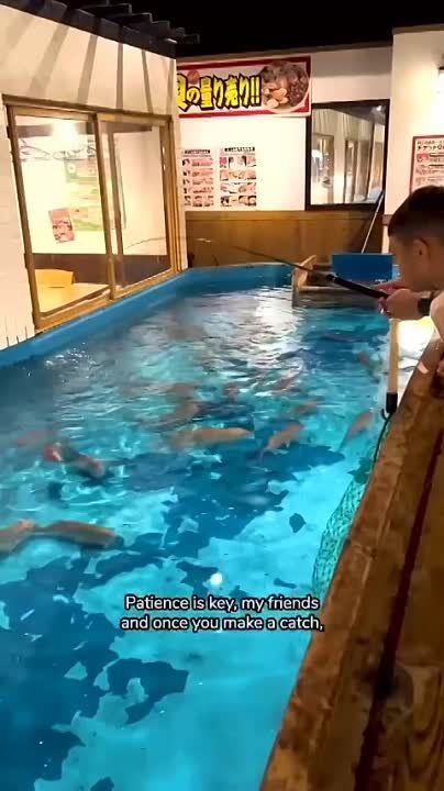 � ����� ������� ��������, ��� ����� ������ ���� ������ ���� � Zauo Fishing Restaurant