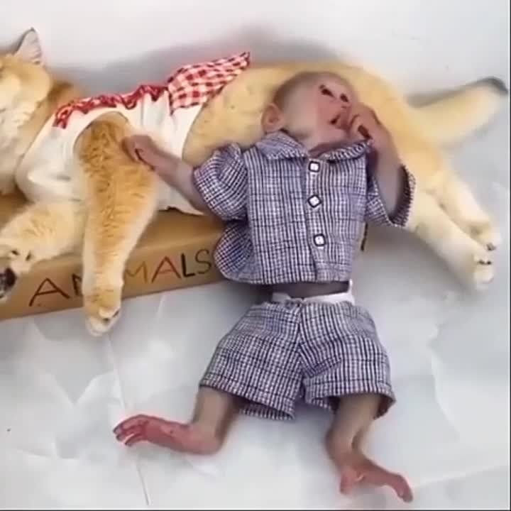 ����!. ��������� ��������!! �������������� ��